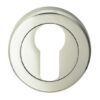 Polished Nickel